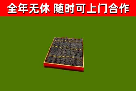 平顶山回收海参